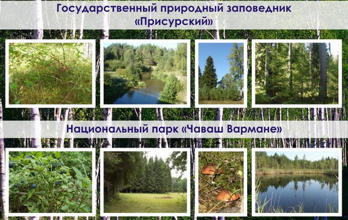 Реферат: Особо охраняемые природные территории и национальные парки 3